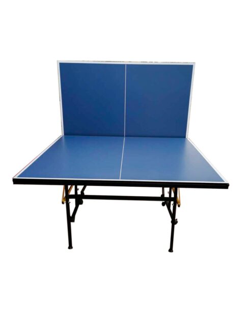 indoor ping pong table