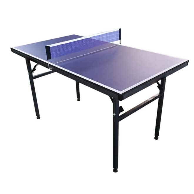 ping pong table supplier china